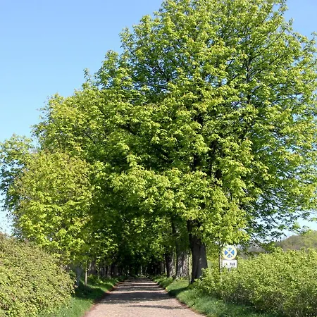 Apartament Hafenhaeuser Wiek Ferienwohnung 01 Wiek auf Rügen