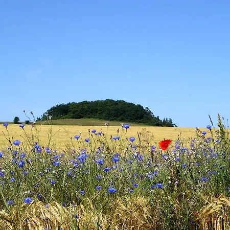 Hafenhaeuser Wiek Ferienwohnung 01 Apartament *